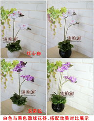 仿真花 包郵精品與批發(fā)指南——以仿真蝴蝶蘭套裝為例